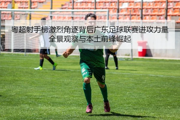 粤超射手榜激烈角逐背后广东足球联赛进攻力量全景观察与本土前锋崛起