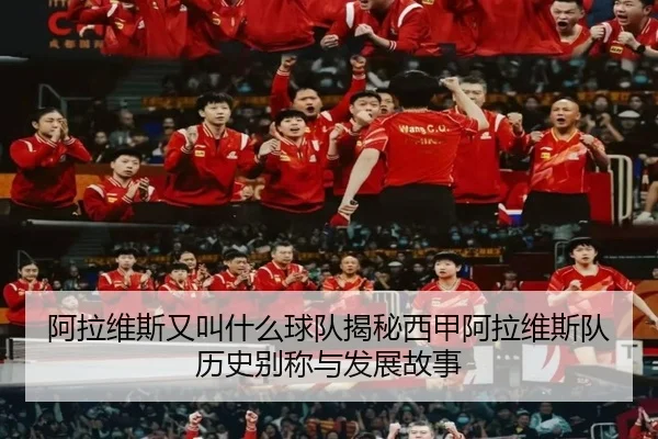 阿拉维斯又叫什么球队揭秘西甲阿拉维斯队历史别称与发展故事